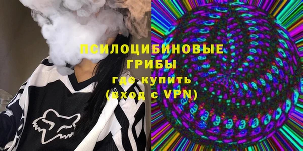молекула духа Абинск
