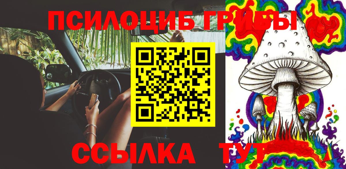 Псилоцибиновые грибы ЛСД Кудымкар