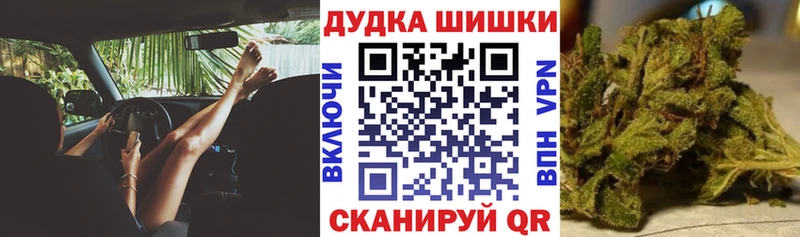 Марихуана сатива  Кудымкар 